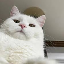 What to do if I forget my password? avatar